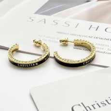 Christian Dior Earrings